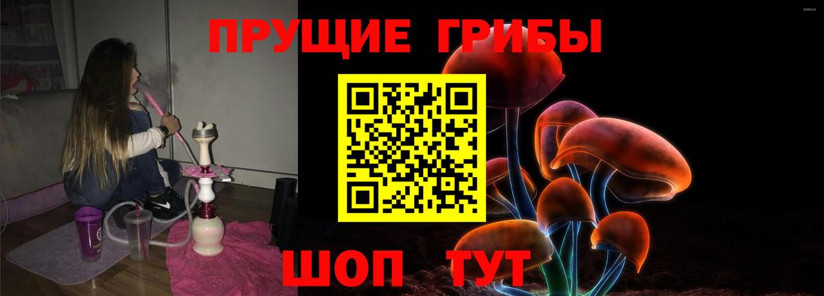 Галлюциногенные грибы прущие грибы Приморско-Ахтарск